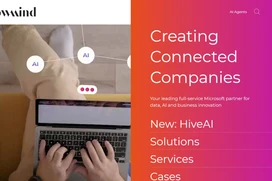 A Fellowmind website titled Creating Connected Companies and a picture of hands typing on a laptop.
