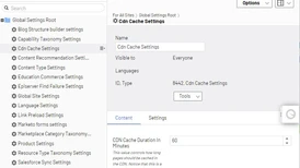 Screen shot showing the editorial interface for settings