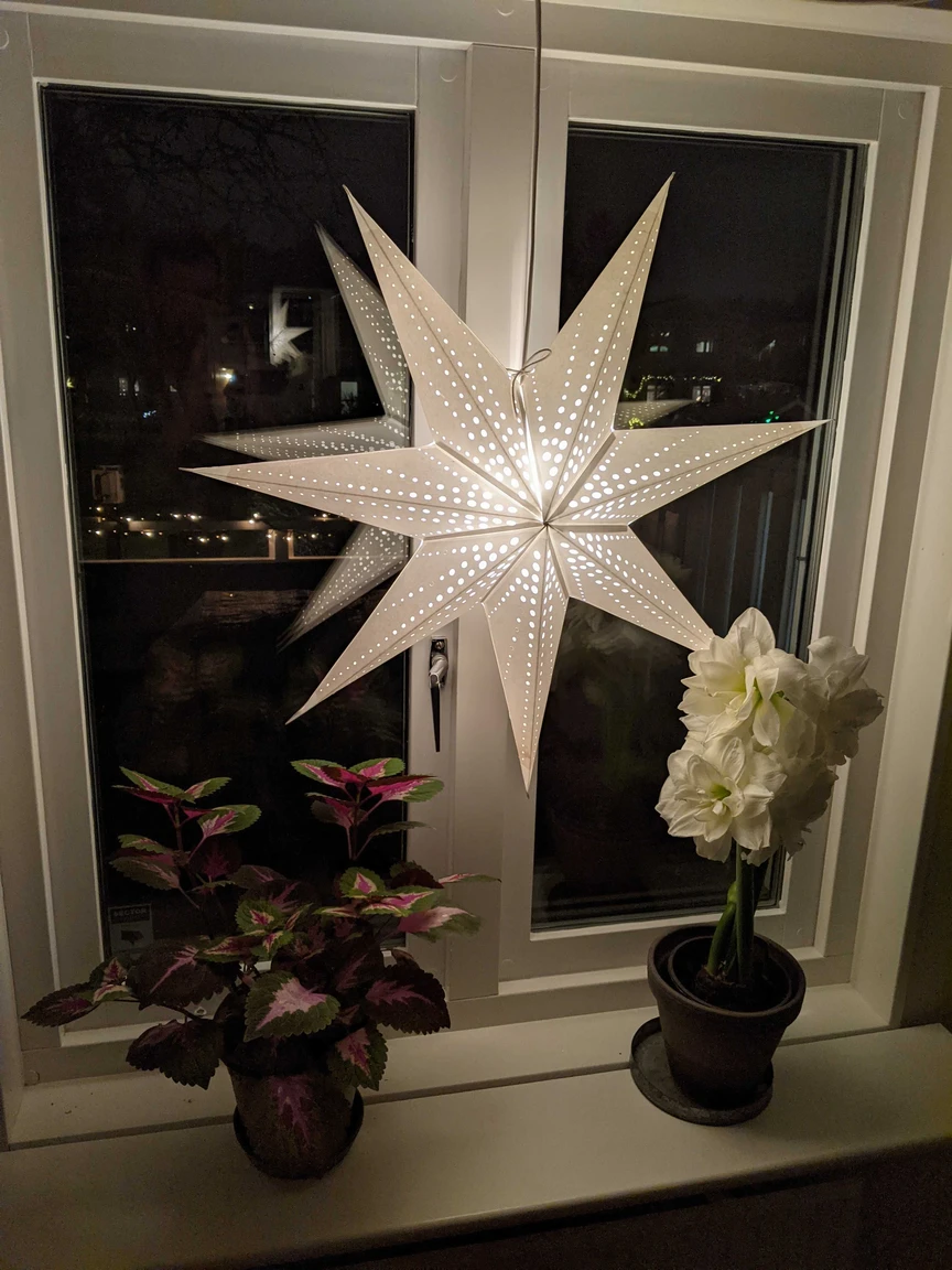 julstj&auml;rna.jpg