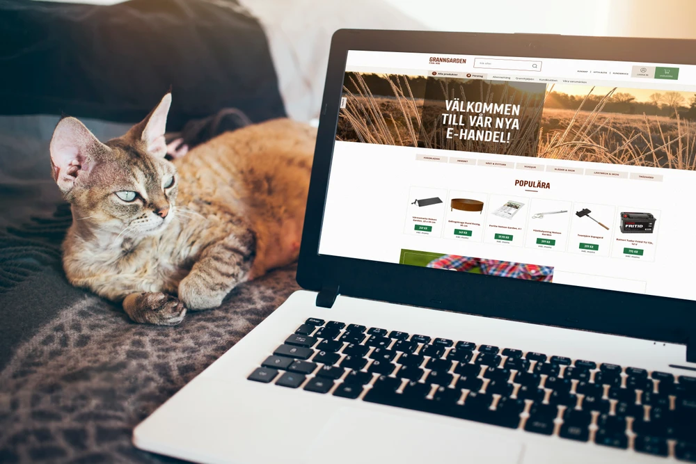 Katt ligger bredvid dator som visar Granngårdens webbplats.